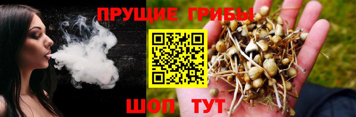 Псилоцибиновые грибы прущие грибы  Вход с VPN  Галлюциногенные грибы Psilocybe  Ревда 