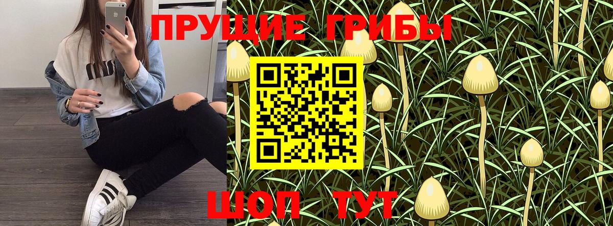 Псилоцибиновые грибы Psilocybe Ревда